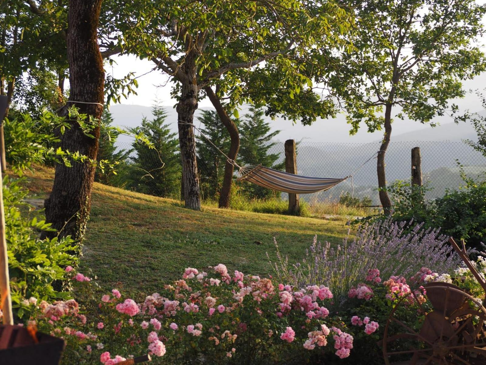 Agriturismo Il Castellaro Sassoferrato Exterior foto