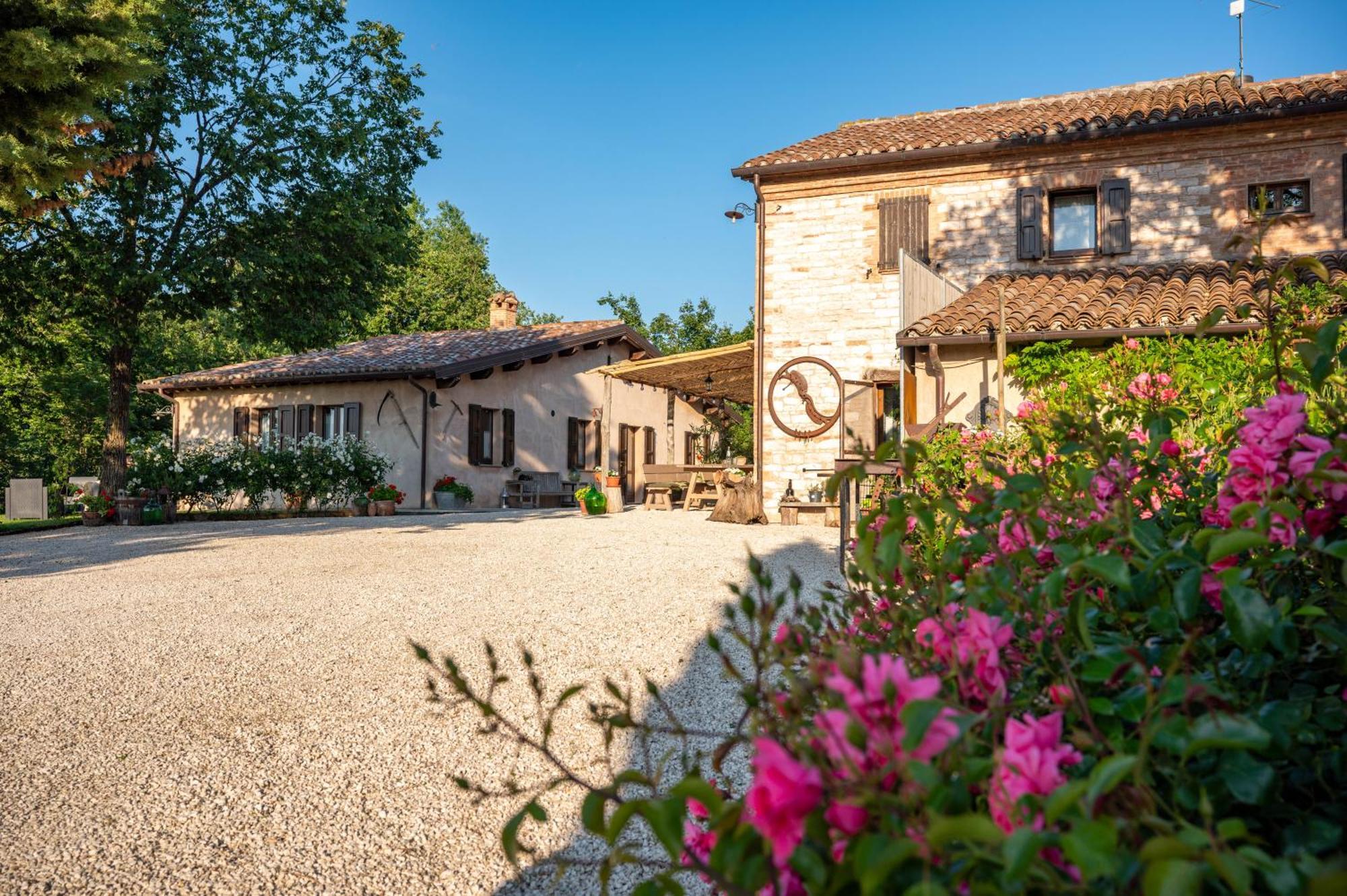 Agriturismo Il Castellaro Sassoferrato Exterior foto